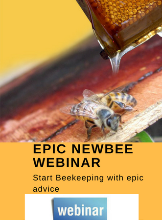 Epic NewBee Webinar for Beekeeping